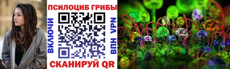 Купить где  Пестово  Галлюциногенные грибы MAGIC MUSHROOMS 